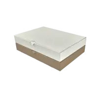 Maxibrief-Karton 350x250x50 mm weiß DIN B4