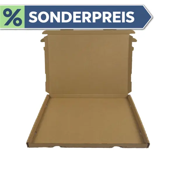 Großbrief-Karton 35x25x2 cm braun DIN A4 Faltschachtel