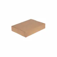 Karton 38x28x6 cm - Versandkarton 380x280x60 mm