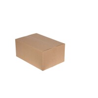 Karton 38x25x16 cm - Versandkarton 381x254x165 mm